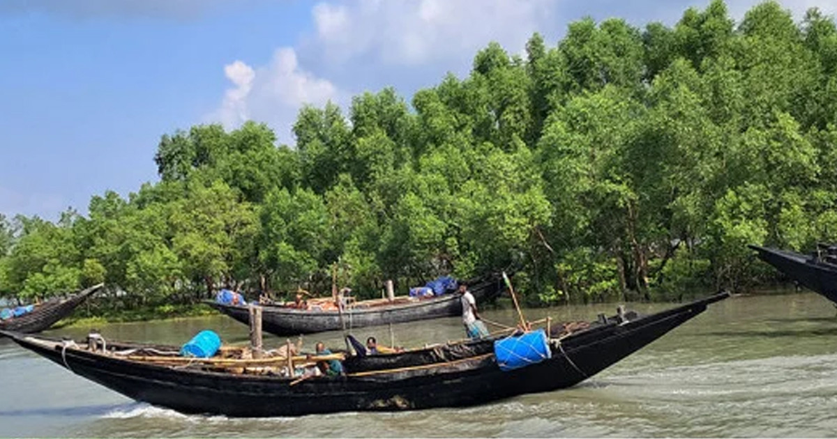 সুন্দরবনে ১৩ দিন জিম্মি থাকার পর মুক্তিপণ দিয়ে ফিরেছেন শরণখোলার ৬ জেলে