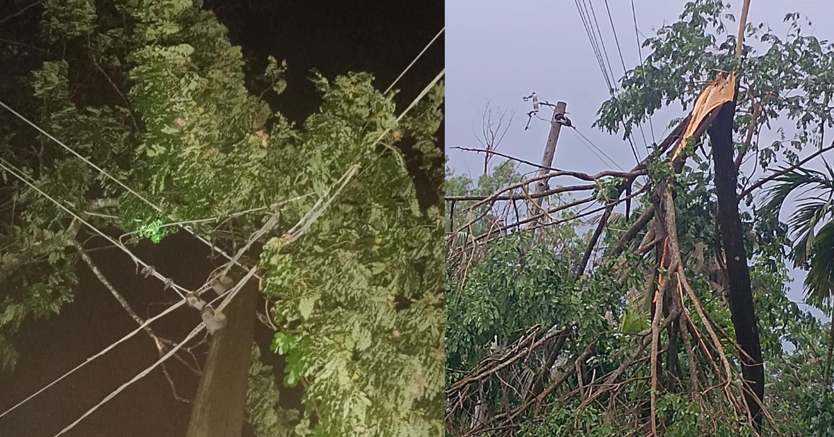 মিরসরাইয়ে কালবৈশাখীর ঝড়ে অন্ধকারে ২০ হাজার গ্রাহক