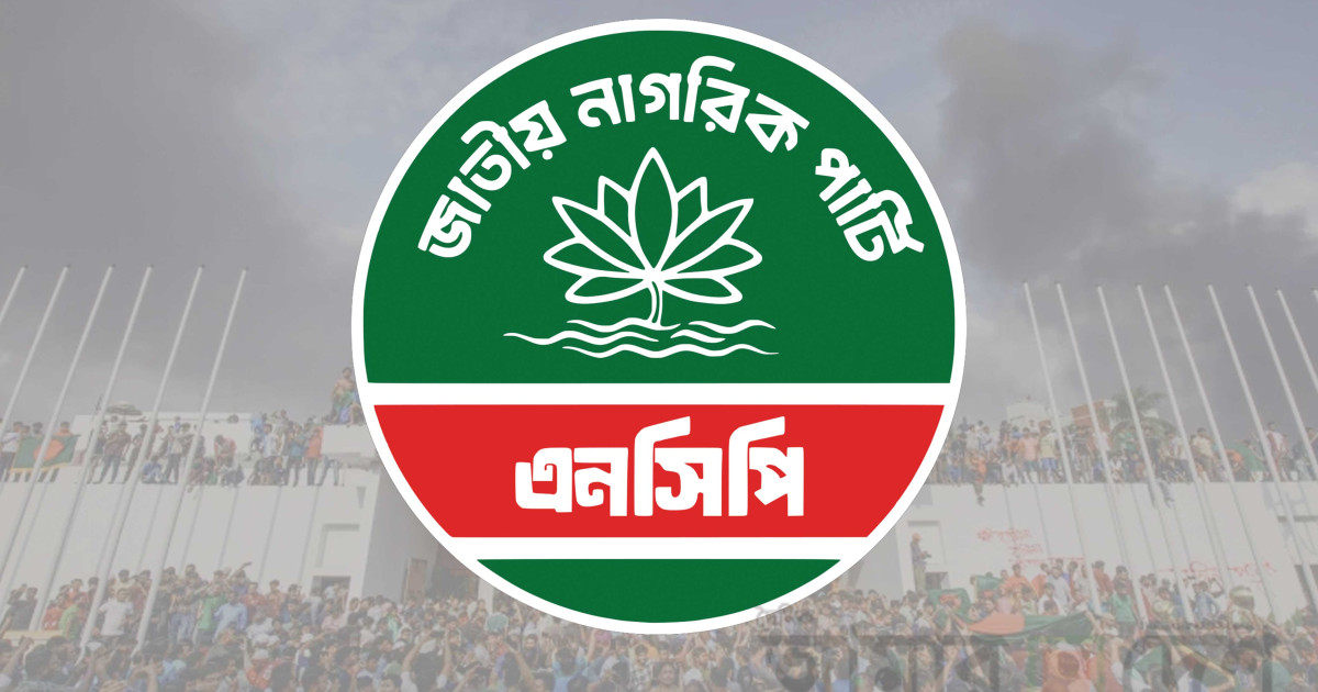 শক্তি বাড়িয়ে শক্ত ভিতে দাঁড়াচ্ছে এনসিপি: মাহফুজ সাদি