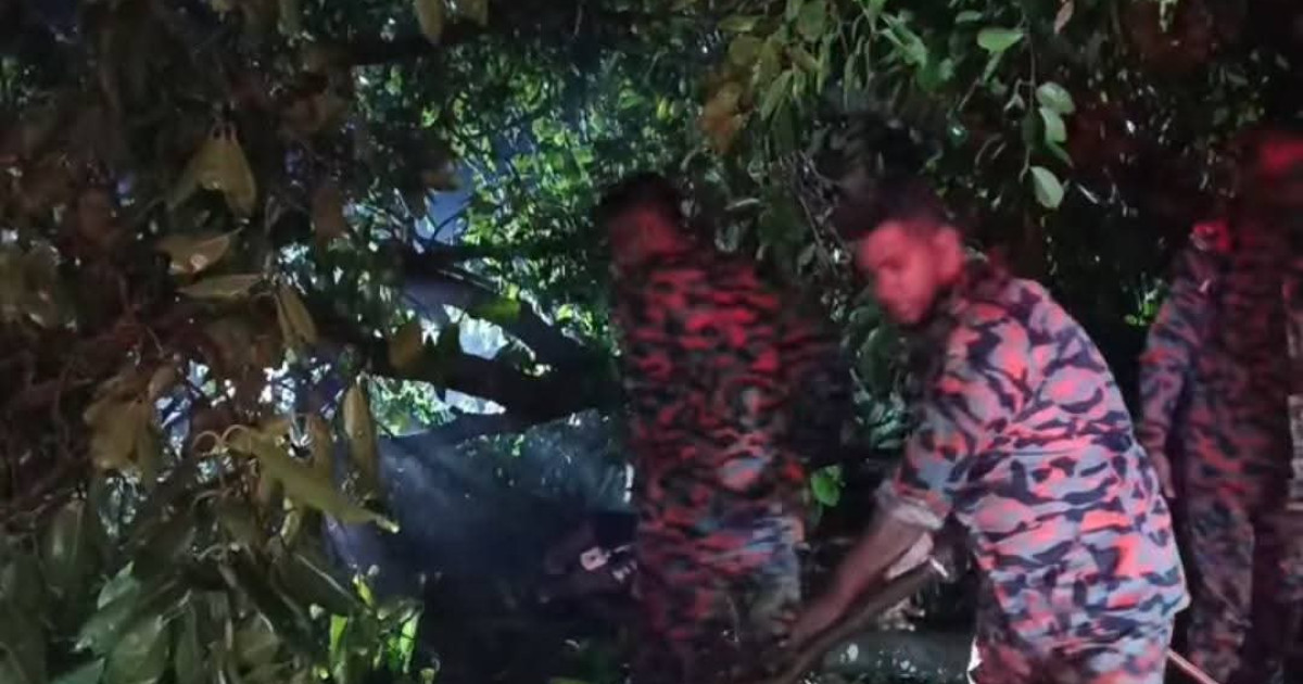 ঝড়ে থমকে ছিল ঢাকা-রাজশাহী মহাসড়ক, যৌথ অভিযানে কাটল যানজট