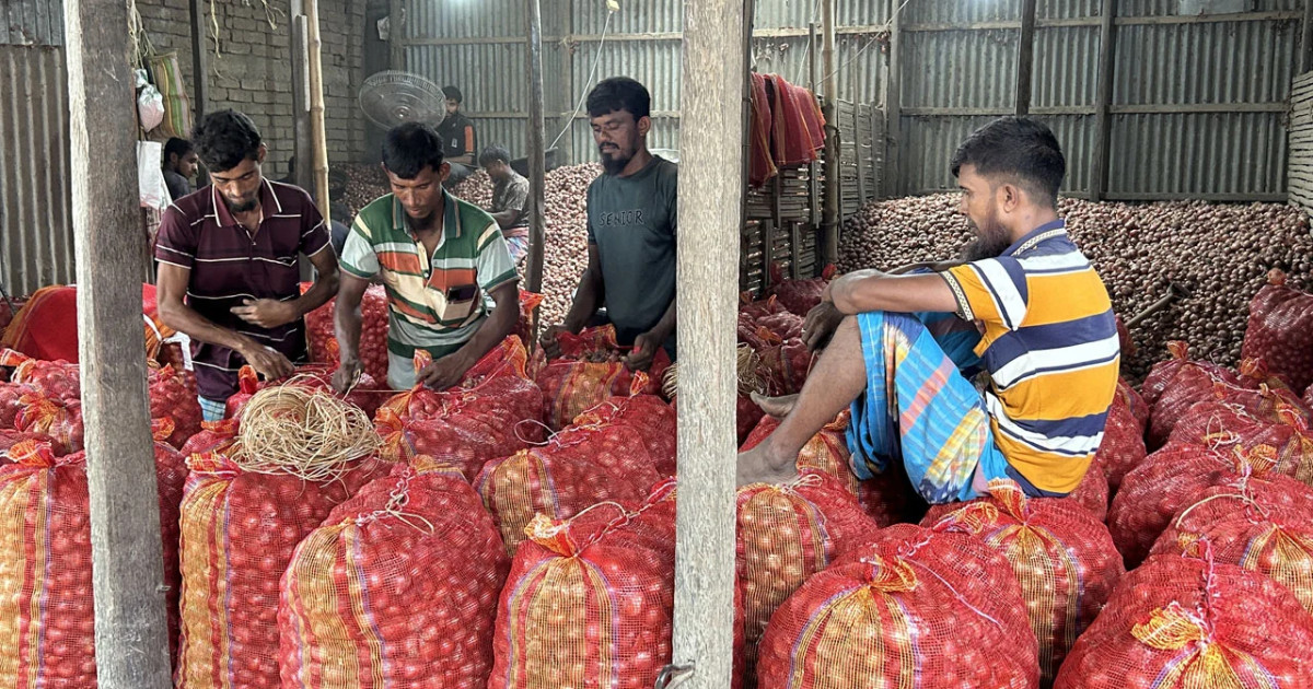 উৎপাদন খরচের চেয়েও কম দাম, মাচায় পচছে পেঁয়াজ—লোকসানে সালথার কৃষক