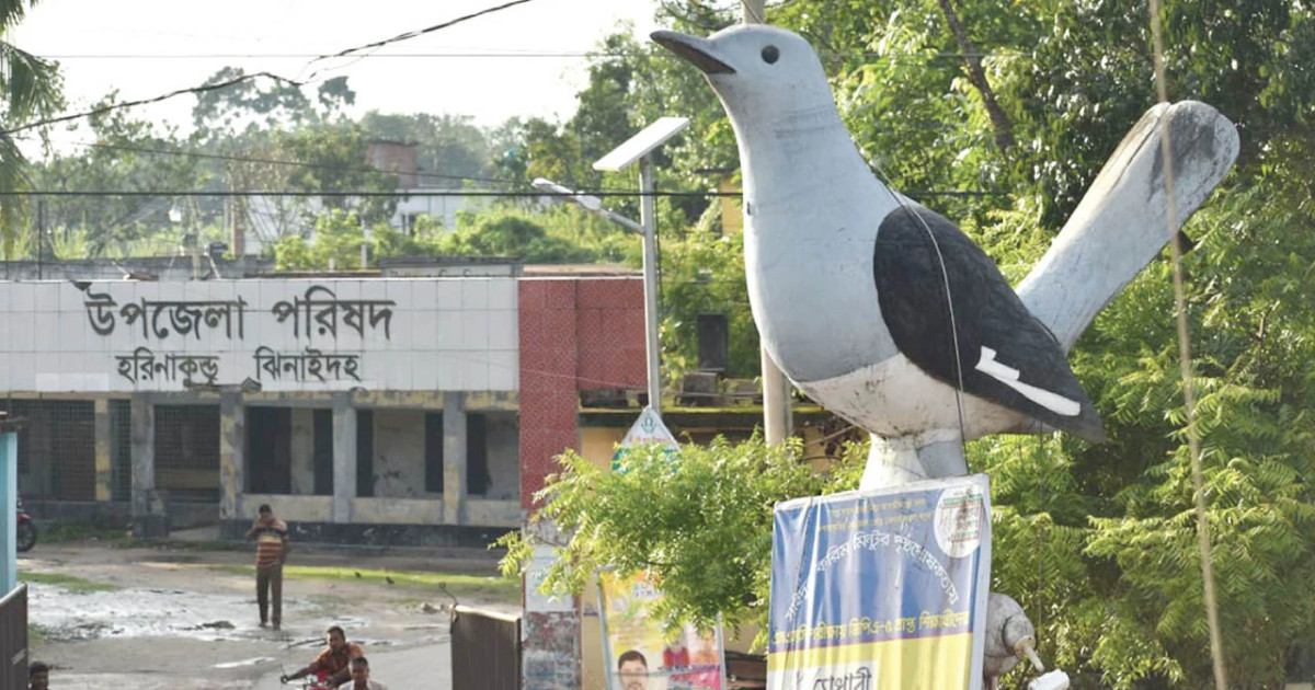 ঝিনাইদহে পানিতে ডুবে মাদ্রাসাছাত্রের মৃত্যু