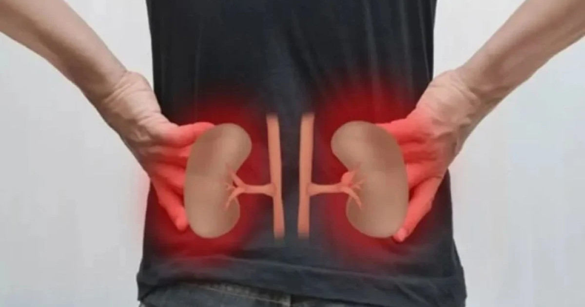 https://www.prothomdorpan.com/admin/fav-icon-logo/image/1761146741.250..125.jpg